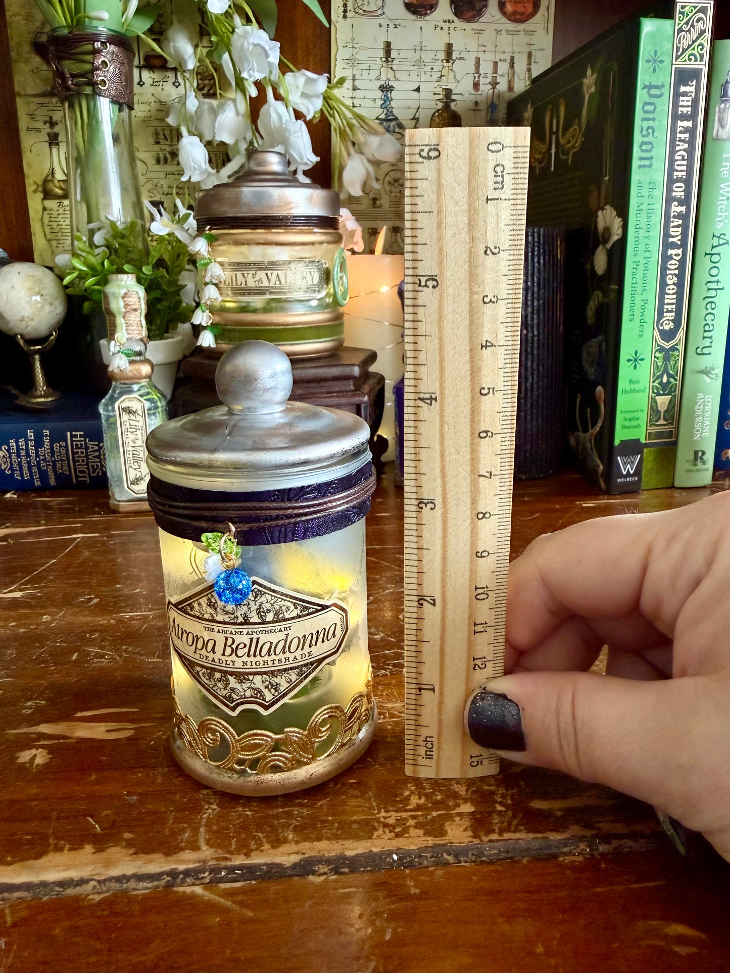 Historical Poison | Atropa Belladonna | Light Up Decorative Poison Apothecary Jar