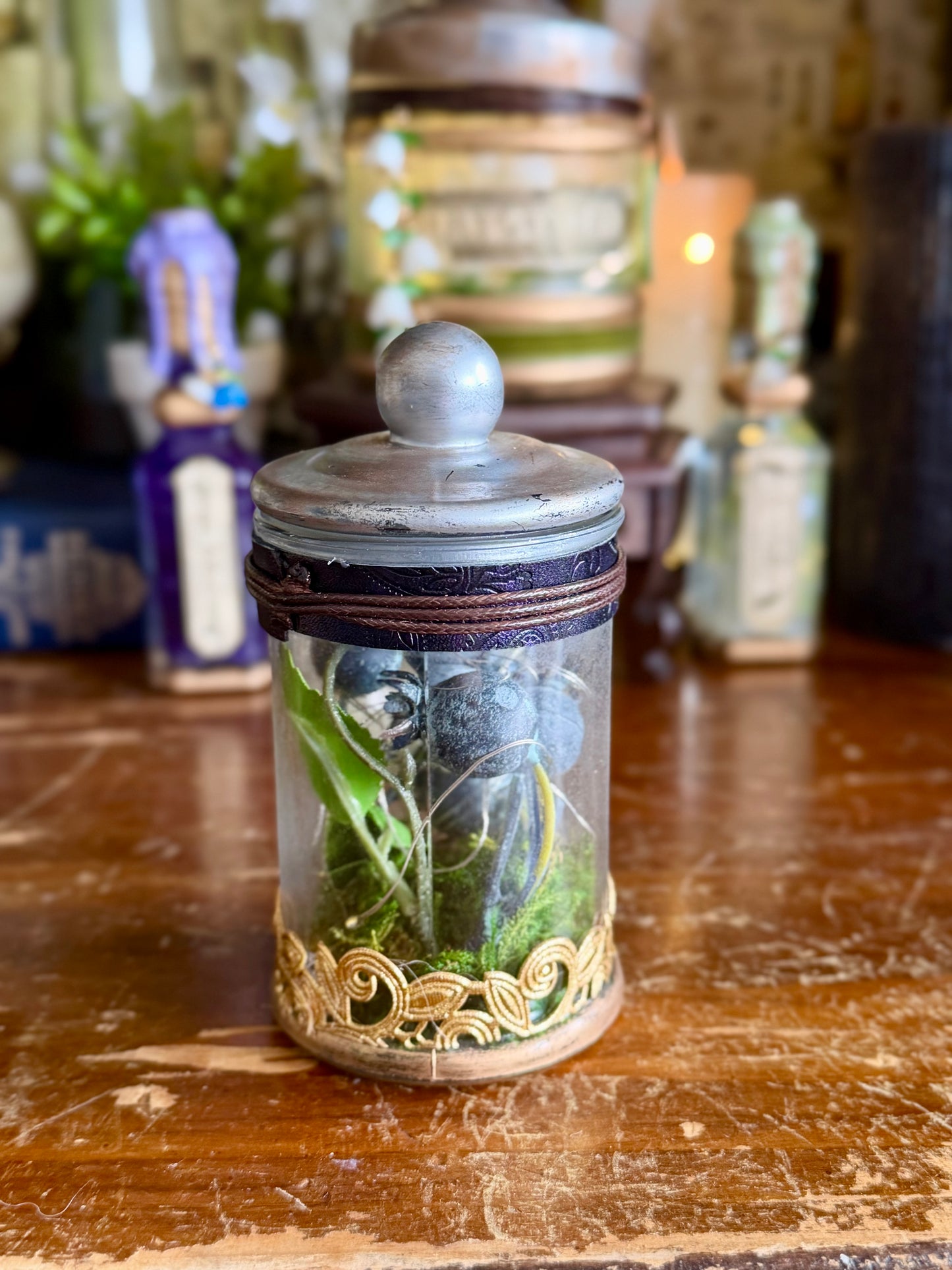 Historical Poison | Atropa Belladonna | Light Up Decorative Poison Apothecary Jar