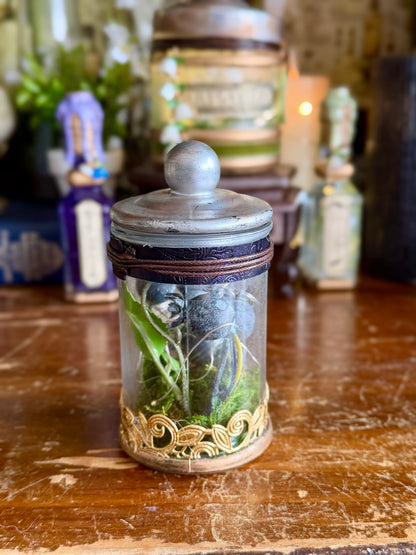 Historical Poison | Atropa Belladonna | Light Up Decorative Poison Apothecary Jar