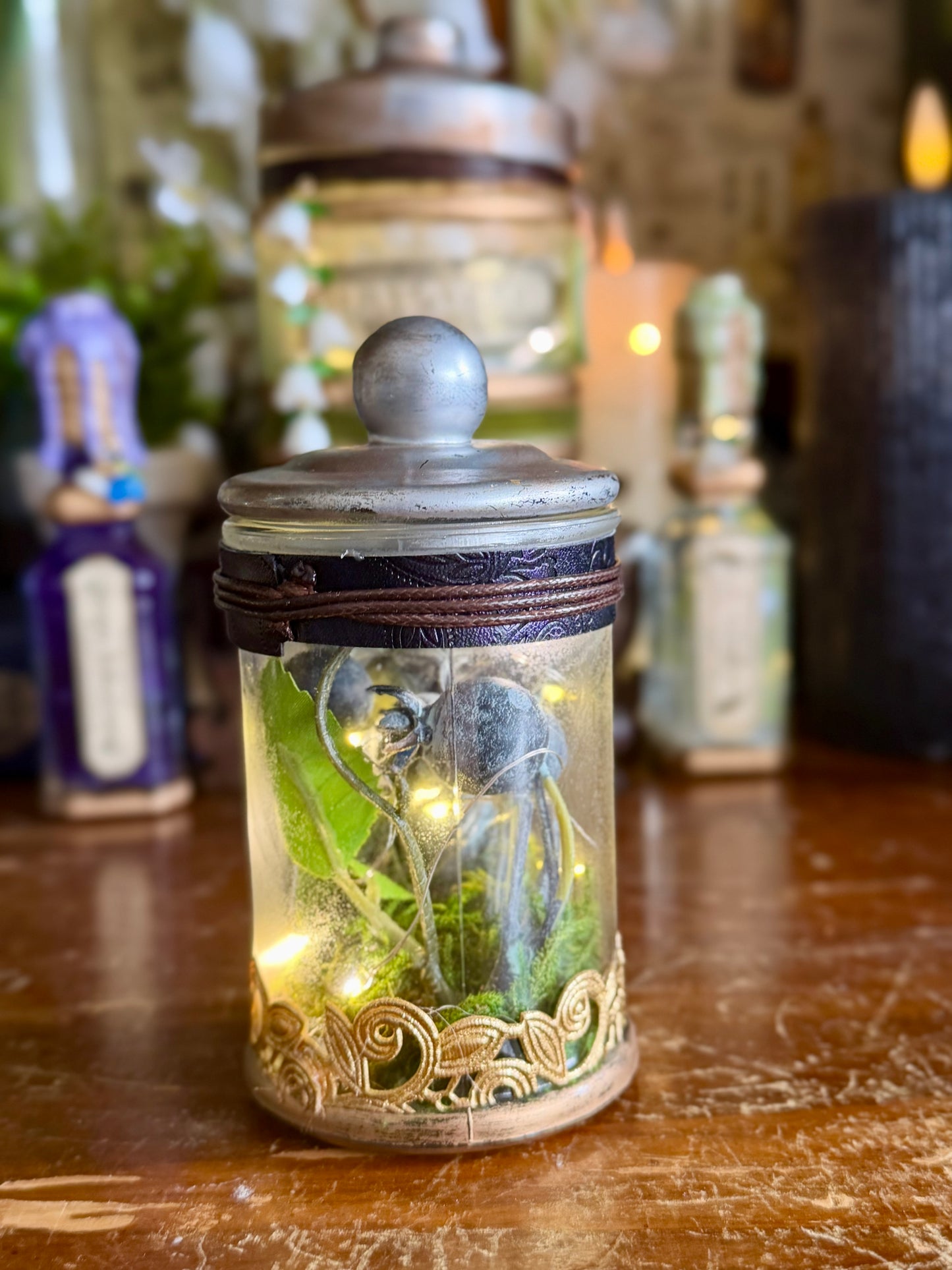 Historical Poison | Atropa Belladonna | Light Up Decorative Poison Apothecary Jar