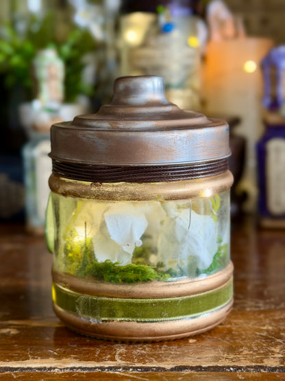Historical Poison | Lily Of The Valley | Light Up Decorative Poison Apothecary Jar
