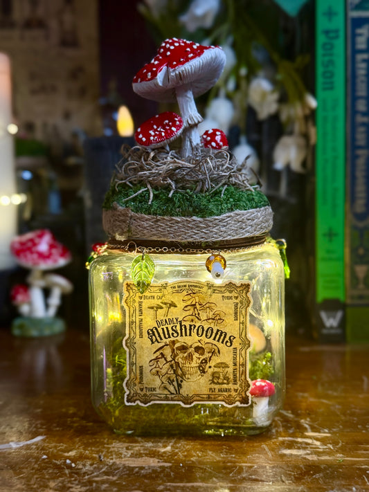 Deadly Mushrooms Light Up Jar | Cottagecore Decor | Witch Apothecary | Forest Display