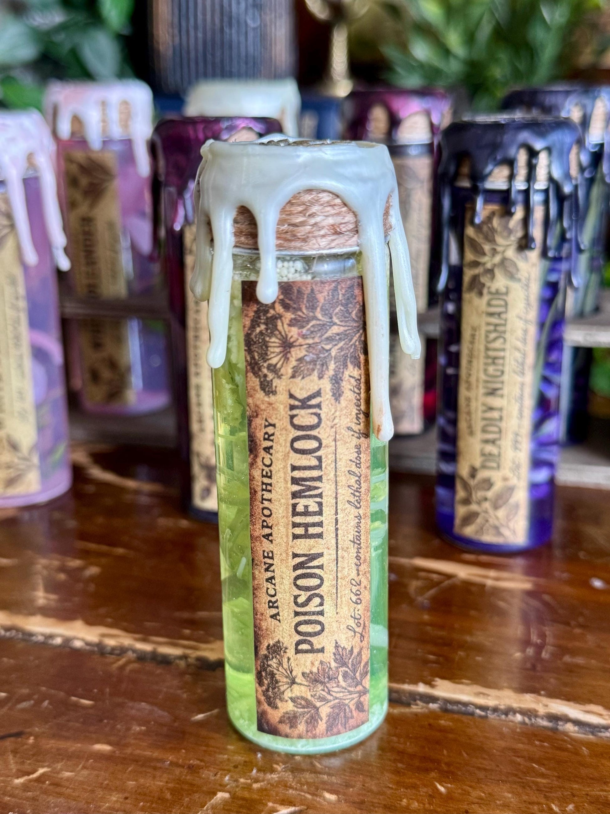 Poison Garden | Poison Hemlock Mini Potion | Dark Academia Display Bottle