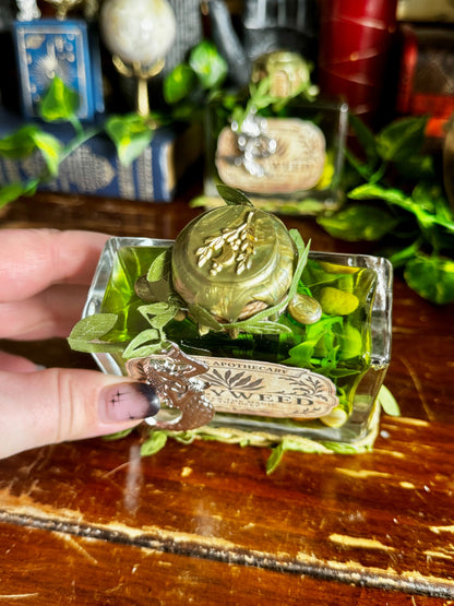 Gillyweed Potion | Seaweed in a Bottle | Decorative Fantasy Wizard Collectible