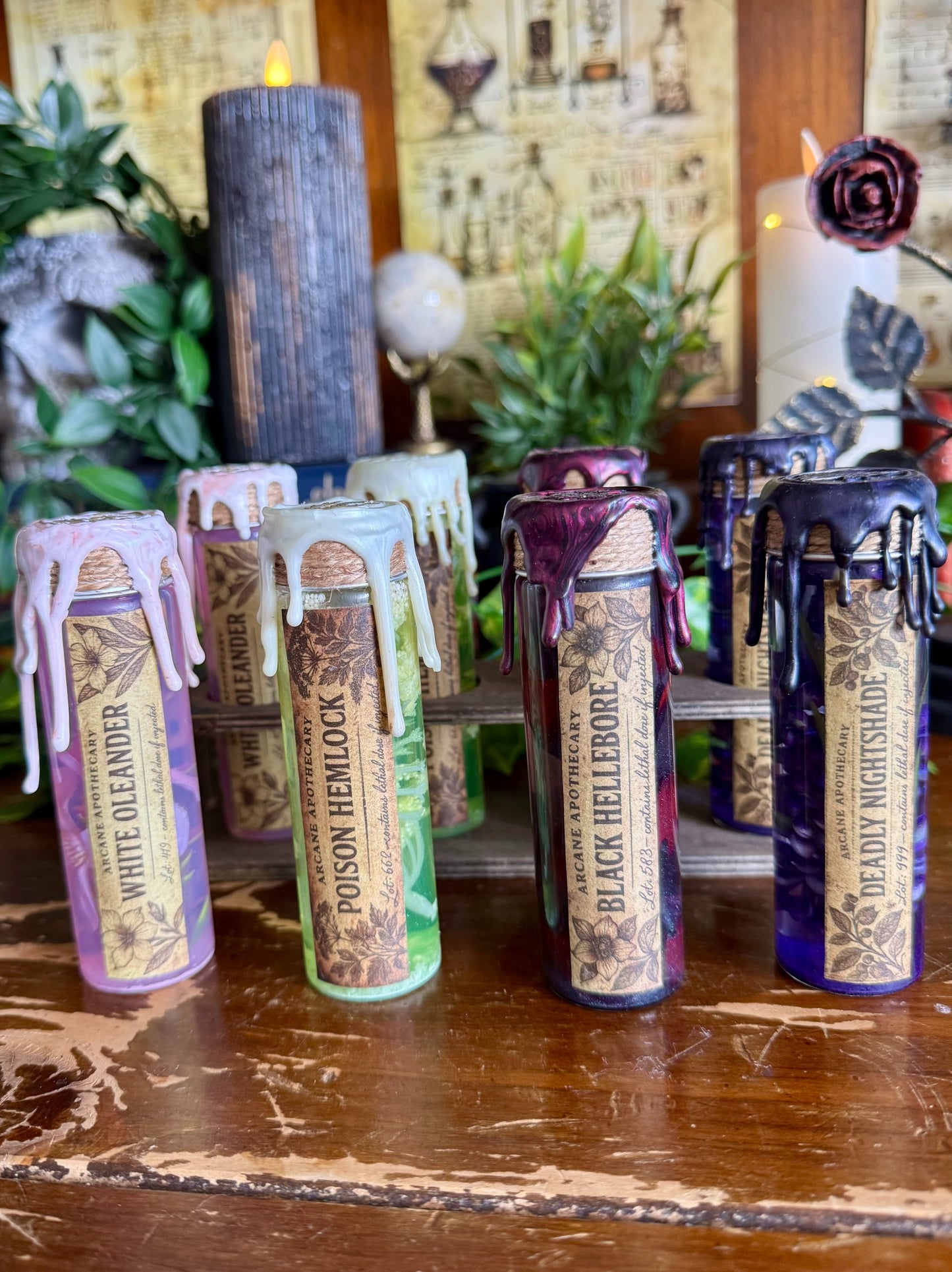 Poison Garden | Deadly Nightshade Mini Potion | Dark Academia Display Bottle