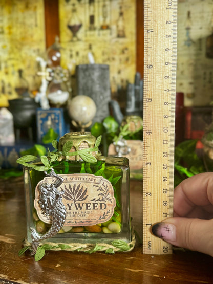 Gillyweed Potion | Seaweed in a Bottle | Decorative Fantasy Wizard Collectible
