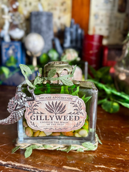 Gillyweed Potion | Seaweed in a Bottle | Decorative Fantasy Wizard Collectible