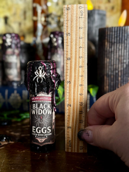 Black Widow Eggs Mini Dark Display Potion | Gothic Decor | Creepy Curio | Spider Witch Aesthetic