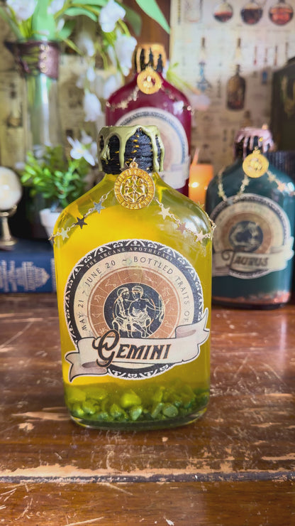 Zodiac Gemini Potion Collectible | Astrology Decor | Witchy Display Bottle