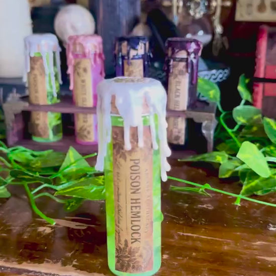 Poison Garden | Poison Hemlock Mini Potion | Dark Academia Display Bottle