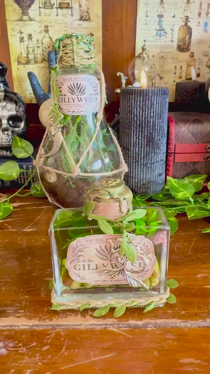 Gillyweed Potion | Seaweed in a Bottle | Decorative Fantasy Wizard Collectible